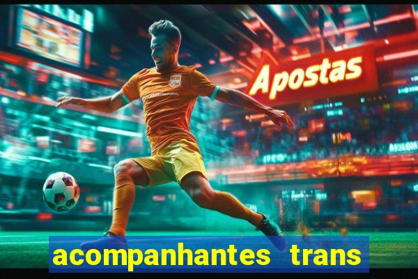 acompanhantes trans santos sp